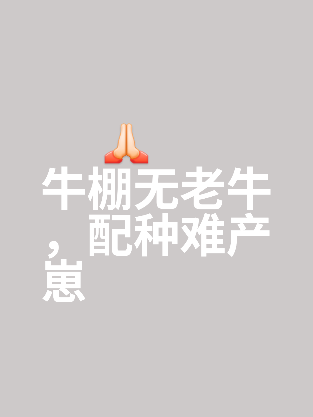 小牛关键时刻决胜，顶住压力